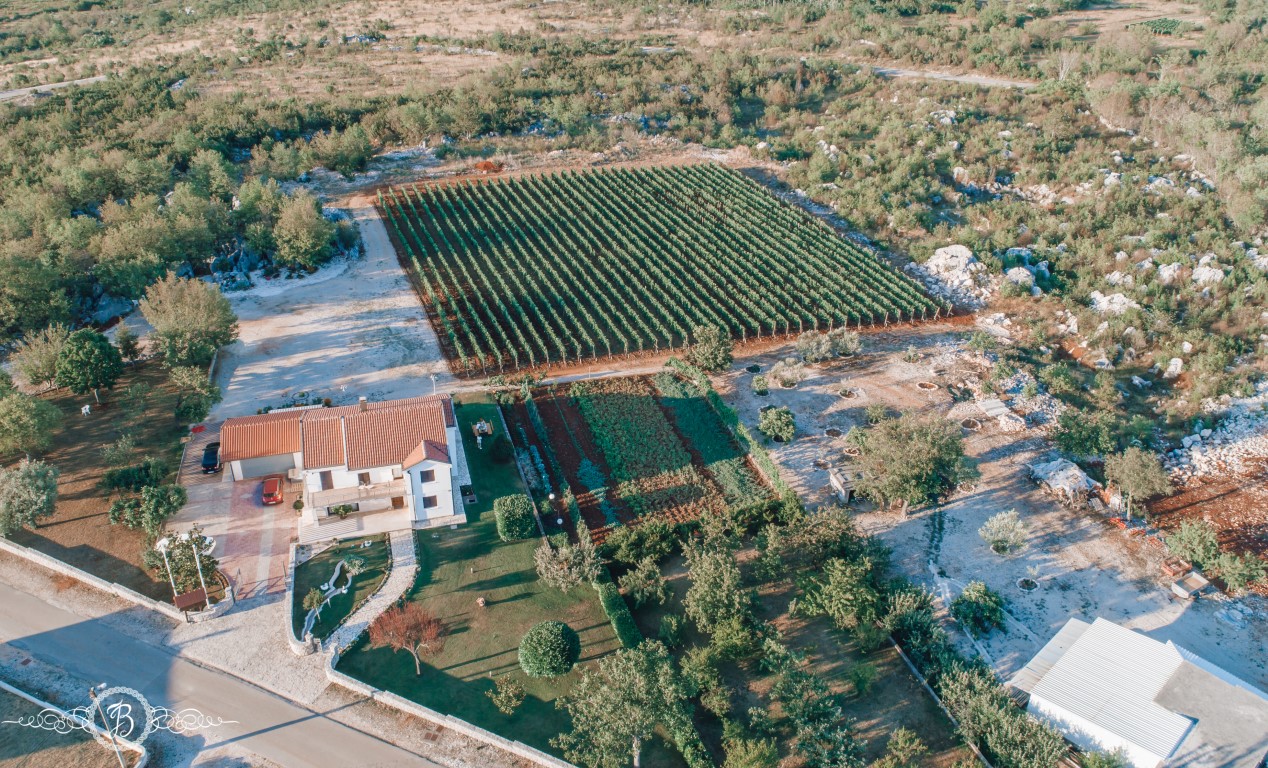 DJI_0625 (Medium)